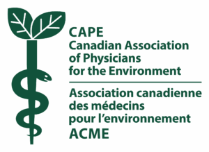 20241220134752 cape acme logo horizontal green